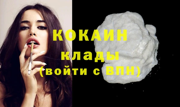 шишки Белокуриха