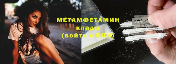 шишки Белокуриха
