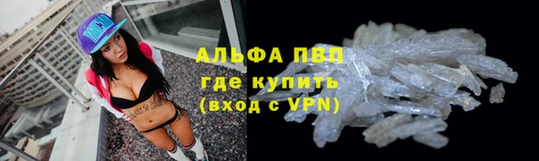 шишки Белокуриха