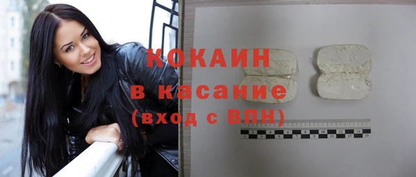 шишки Белокуриха
