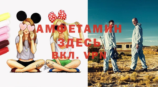 шишки Белокуриха