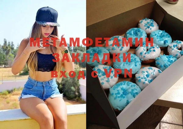 шишки Белокуриха