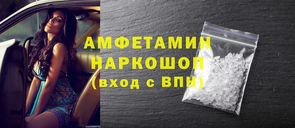 шишки Белокуриха