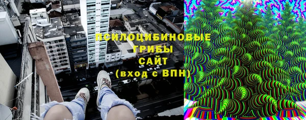 прущие крисы Белоозёрский
