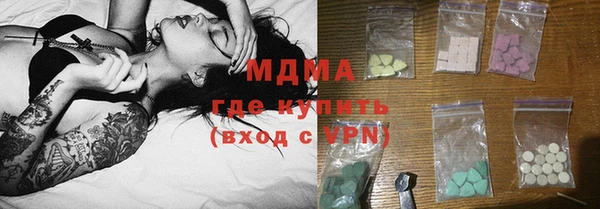 шишки Белокуриха