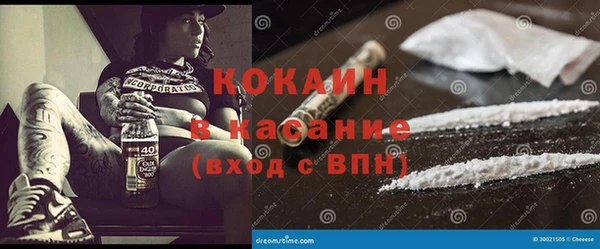 шишки Белокуриха