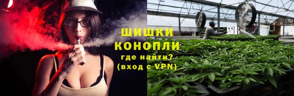 шишки Белокуриха